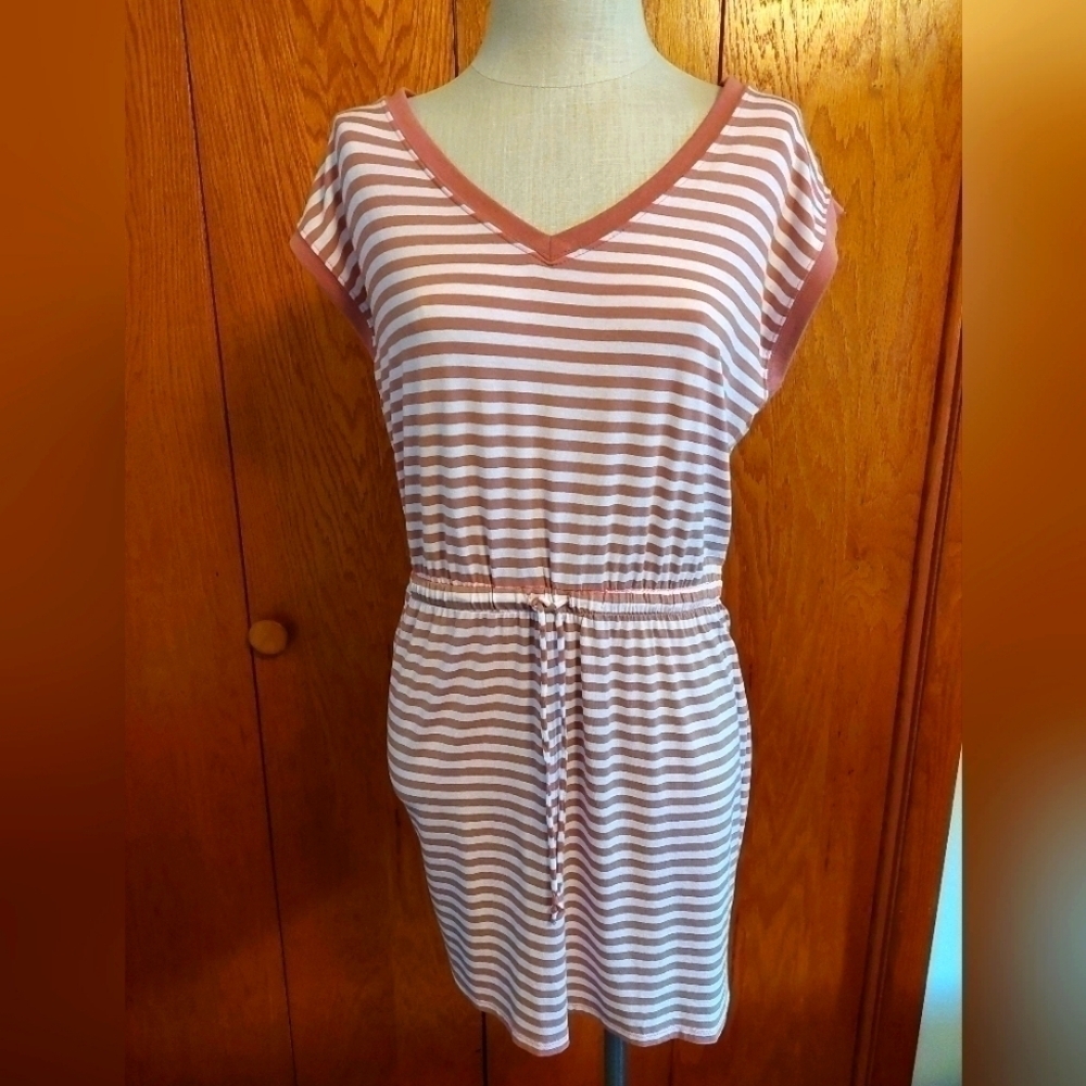 Z Supply Striped V-Neck T-Shirt Dress in Dusty Rose and White